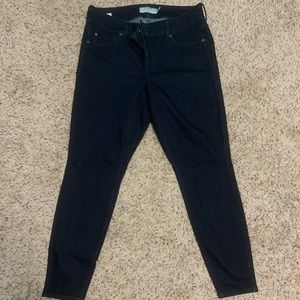 Torrid Jeans